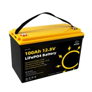 GoKWh 12V 100Ah LiFePO4 Deep Cycle Battery