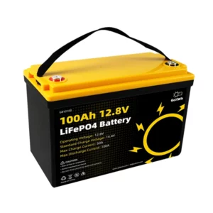 GoKWh 12V 100Ah LiFePO4 Deep Cycle Battery with Built-In BMS For Van