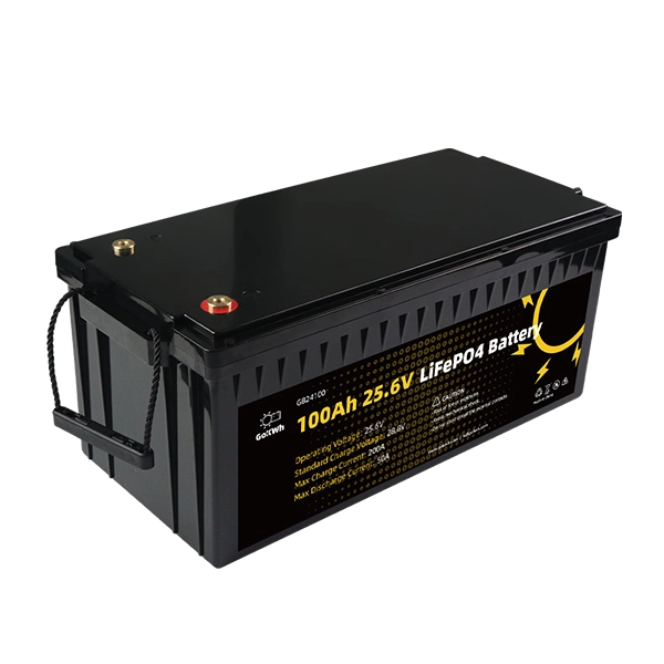 GoKWh 24V 100Ah LiFePO4 Deep Cycle Battery with Built-In BMS For Camper