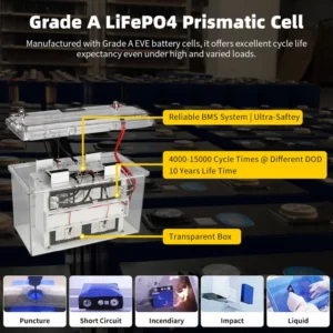GoKWh 12V 100Ah 1280Wh LiFePO4 Battery Built-in BMS & Power Voltage Display & Transparent Case - Grade A LFP Prismatic Cell