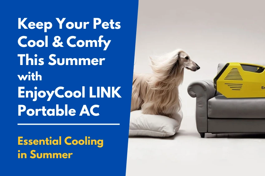 Keep Your Pets Cool and Comfy This Summer with EnjoyCool LINK Portable AC