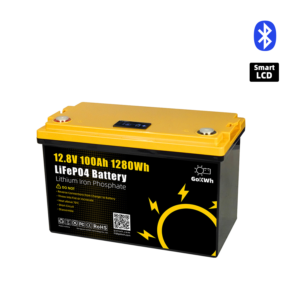 12V 100Ah LiFePO4 Battery, Built-in 100A BMS, Max.1280Wh Lithium Iron  Phosphate Battery with Up to 15000 Cycles & 10 Years Lifespan for RV,  Camper