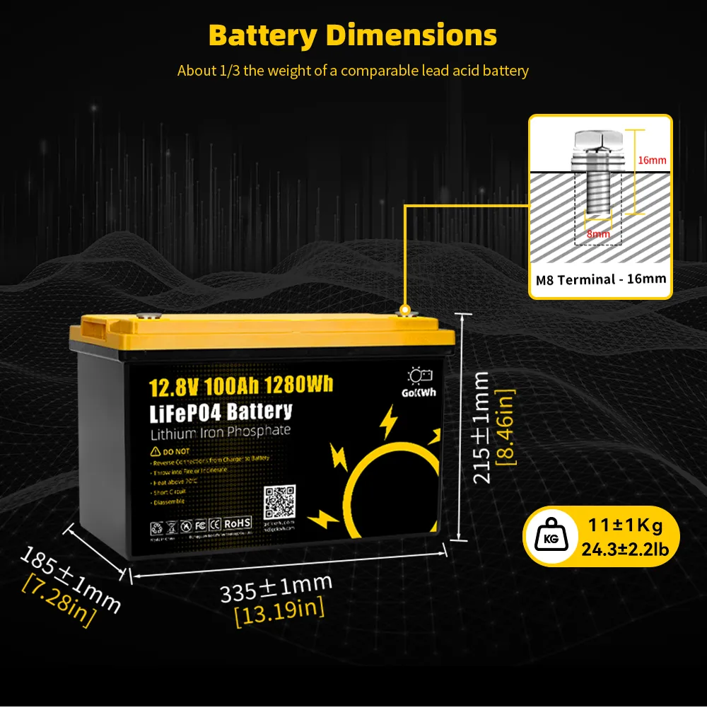 GoKWh 12V 100Ah LiFePO4 Battery Built-in Smart Bluetooth