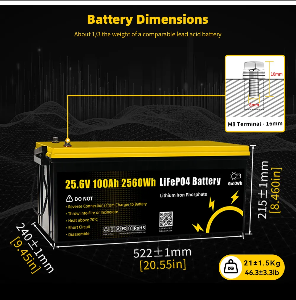 GoKWh 24V 100Ah LiFePO4 Battery Built-in Smart Bluetooth