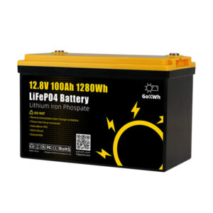GoKWh 12V 100Ah Built-in BMS LiFePO4 Battery