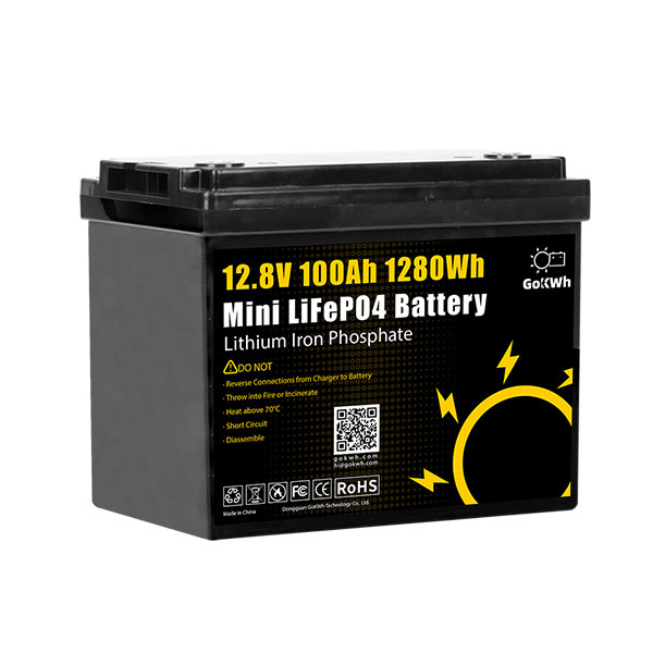 GoKWh 12V 100Ah Mini Built-in BMS LiFePO4 Battery